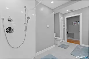 10 Riveredge Ct, Plainville, CT 06062 - Photo 29