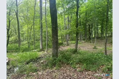 00 Hartford Turnpike, Eastford, CT 06242 - Photo 15