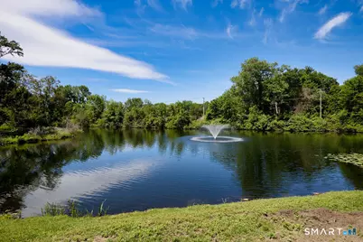 6 Hollyberry Lane #6, Ridgefield, CT 06877 - Photo 21