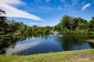 6 Hollyberry Ln, Ridgefield, CT 06877 - Photo 21