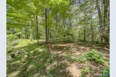 15 Cove Hill Road, Essex, CT 06426 - Photo 35