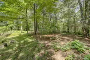 15 Cove Hill Rd, Essex, CT 06426 - Photo 35