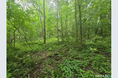 Boston Road, Andover, CT 06232 - Photo 1