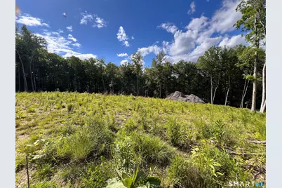 Cotton Hill Road, New Hartford, CT 06057 - Photo 9