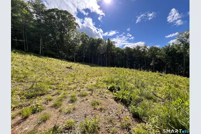 Cotton Hill Road, New Hartford, CT 06057 - Photo 7
