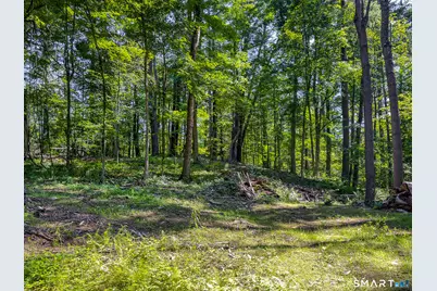 00 Great Hollow Road, Cornwall, CT 06753 - Photo 13