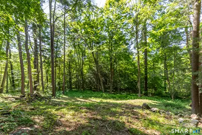 00 Great Hollow Road, Cornwall, CT 06753 - Photo 9