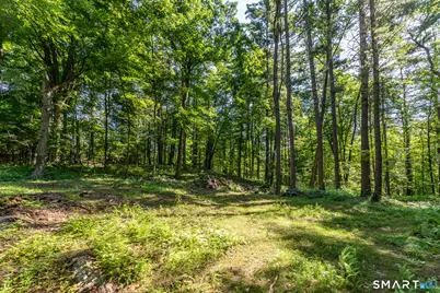 00 Great Hollow Road, Cornwall, CT 06753 - Photo 7
