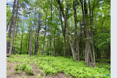 00 Great Hollow Road, Cornwall, CT 06753 - Photo 5