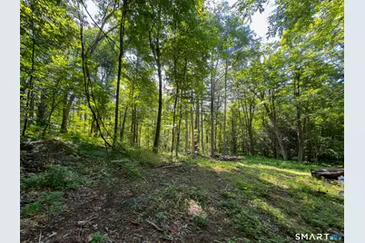 00 Great Hollow Road, Cornwall, CT 06753 - Photo 17