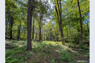 00 Great Hollow Road, Cornwall, CT 06753 - Photo 11