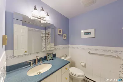 45 North Nabby Road, Danbury, CT 06811 - Photo 29