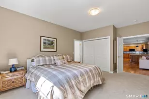 31 Gooseberry Dr, Suffield, CT 06078 - Photo 19