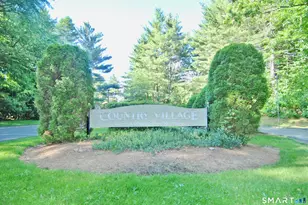 109 Greens Loop, Cheshire, CT 06410 - Photo 29