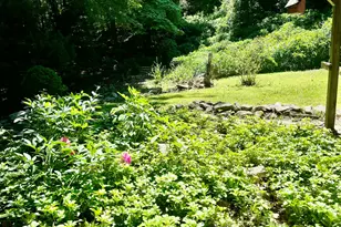 11 Tubbs Spring Dr, Weston, CT 06883 - Photo 9