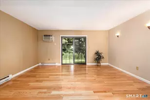 114 Aspetuck Vlg, New Milford, CT 06776 - Photo 3