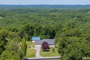 317 Waterhole Rd, East Hampton, CT 06424 - Photo 3