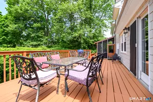 44 Newfield Ct, Stamford, CT 06905 - Photo 23
