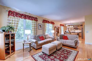 20 Livingston Way, Manchester, CT 06040 - Photo 13