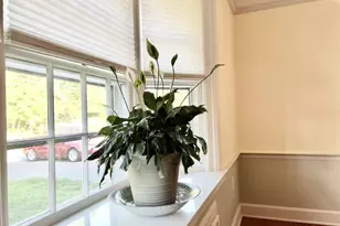 729 Lovely St, Avon, CT 06001 - Photo 11