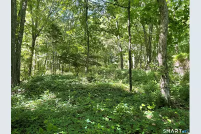 849 Pequot Trail #Lot 1, Stonington, CT 06378 - Photo 5