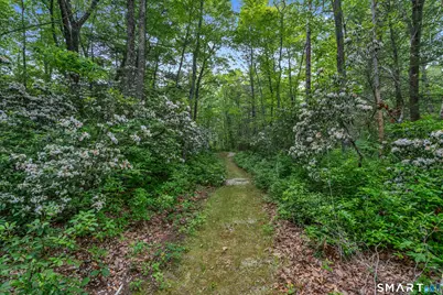 384 Beaver Meadow Road, Haddam, CT 06438 - Photo 35