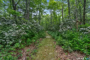 384 Beaver Meadow Rd, Haddam, CT 06438 - Photo 35