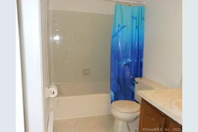 160 Willow Springs #160, New Milford, CT 06776 - Photo 15