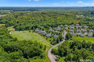 53 Carnoustie Cir, Bloomfield, CT 06002 - Photo 39