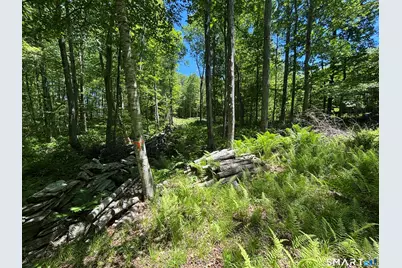 295 Providence Turnpike, Hampton, CT 06247 - Photo 7
