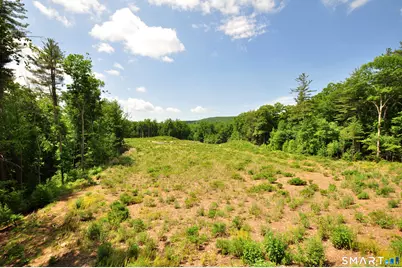 24 Peck Orchard Road, Granby, CT 06060 - Photo 9
