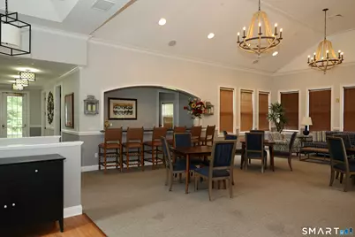 25 Franklin Court #25, Newtown, CT 06470 - Photo 33