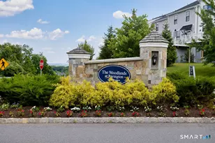 157 Brentwood Cir, Danbury, CT 06810 - Photo 19