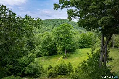 178 Carter Road, Kent, CT 06754 - Photo 35