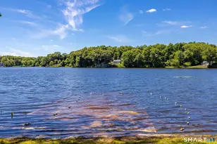 65 E Shore Dr, Haddam, CT 06441 - Photo 37