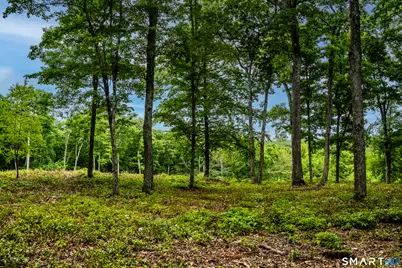 Westwoods Road #2, Sharon, CT 06069 - Photo 23