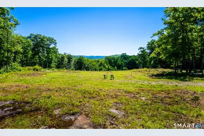 Westwoods Road #2, Sharon, CT 06069 - Photo 5