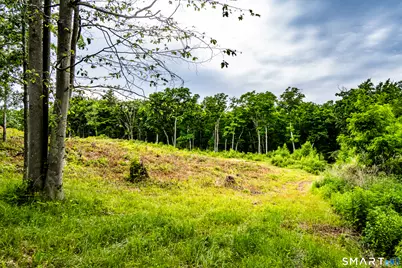 Westwoods Road #2, Sharon, CT 06069 - Photo 27