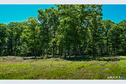Westwoods Road #2, Sharon, CT 06069 - Photo 3