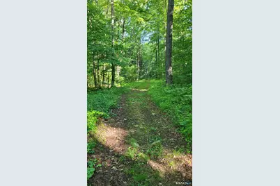 102 Pumpkin Hill Road, Ashford, CT 06278 - Photo 33