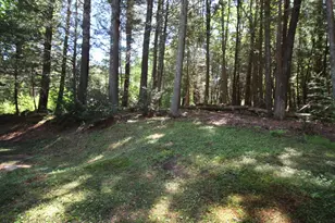 60 Lyon Rd, Woodstock Valley, CT 06282 - Photo 23