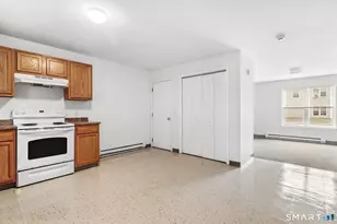 62 Chestnut St Ext, Danbury, CT 06810 - Photo 35