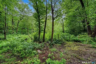 216 Reservoir Rd, Killingworth, CT 06419 - Photo 9