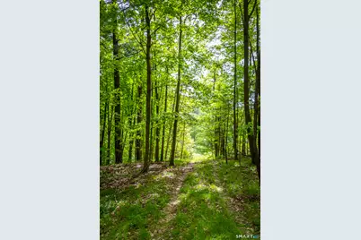 198-1 Beebe Hill Road, Canaan, CT 06031 - Photo 3