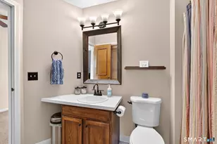 19 Wickham's Fancy, Canton, CT 06019 - Photo 33
