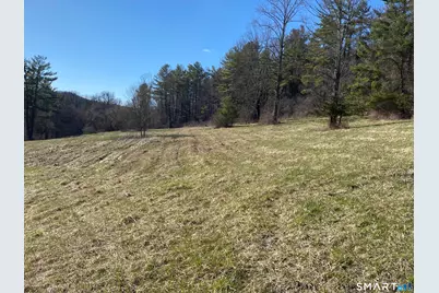 198-3 Beebe Hill Road, Canaan, CT 06031 - Photo 3