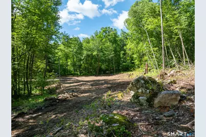 335 Town Street, Cornwall, CT 06796 - Photo 3