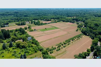 810 Dunbar Hill Road, Hamden, CT 06514 - Photo 35