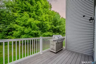 159 Bradford Walk, New Britain, CT 06053 - Photo 29