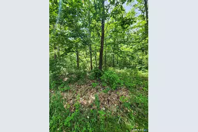 11 Old Paddock Lane, Kent, CT 06757 - Photo 5